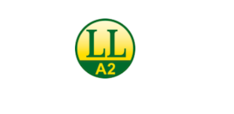 Das Label für Leichte Sprache